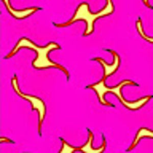 Meet your Posher, Shari